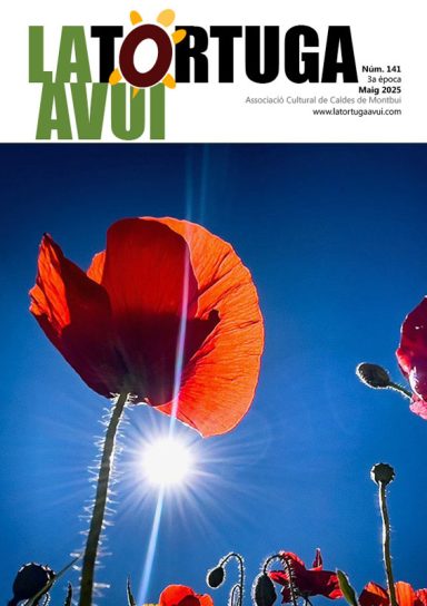 Portada de la revista La Tortuga Avui núm. 141