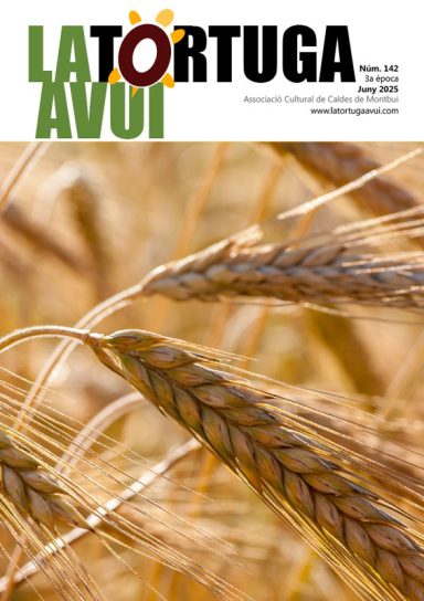 Portada de la revista La Tortuga Avui núm. 142